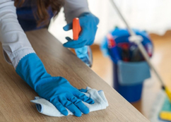 School Cleaners